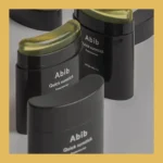 Abib Quick Sunstick Protection Bar - 22g (SPF50+ PA++++)