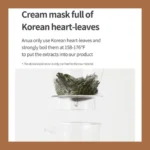 Anua Heartleaf Sheet Mask Night Solution1