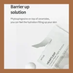 Anua Heartleaf Sheet Mask Night Solution1