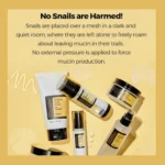 Cosrx Advanced Snail Radiance Dual Essence – 80ML (1)